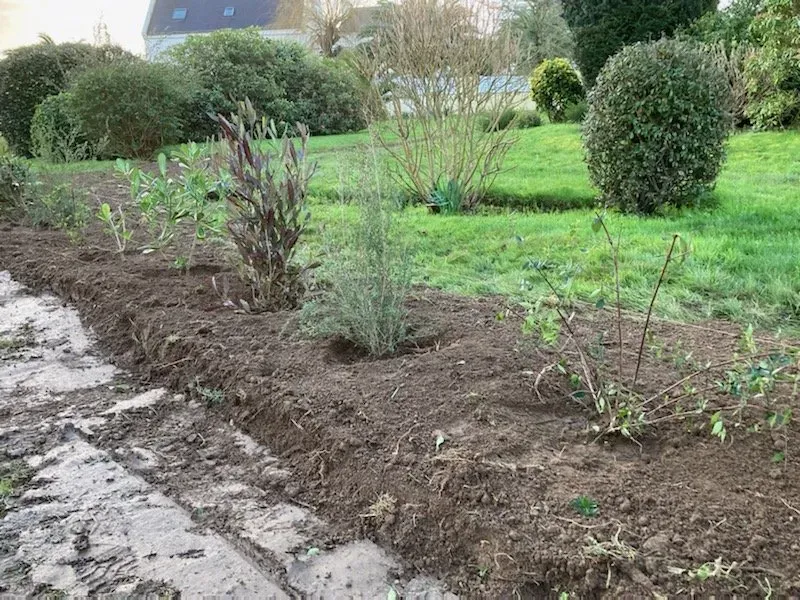 creation de haie (3)