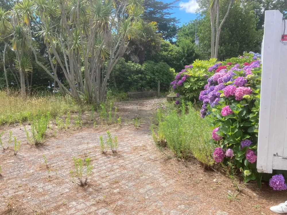 entretien jardin (3)