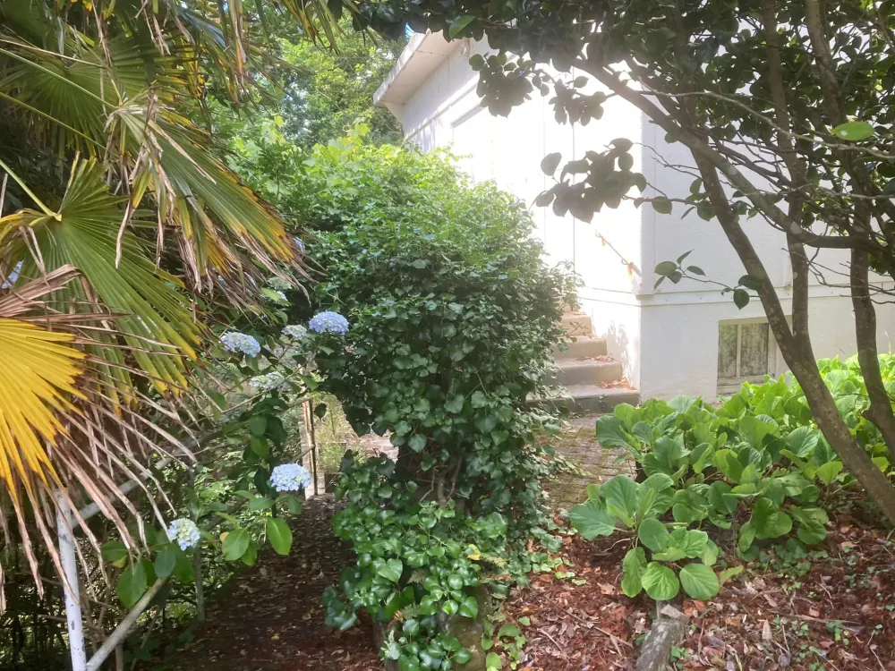 entretien jardin (4)